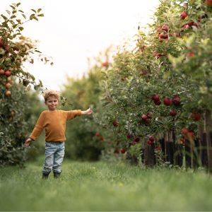 WDHFotografie_VinkFruit