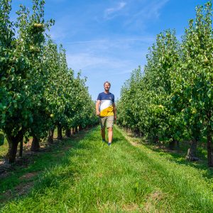 Boomgaard_VinkFruitboerderij